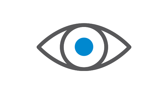 Eye and Magnifying Icon displaying Visibility